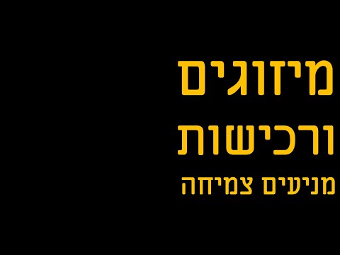 וִידֵאוֹ: מהו מיזוג ורכישה?