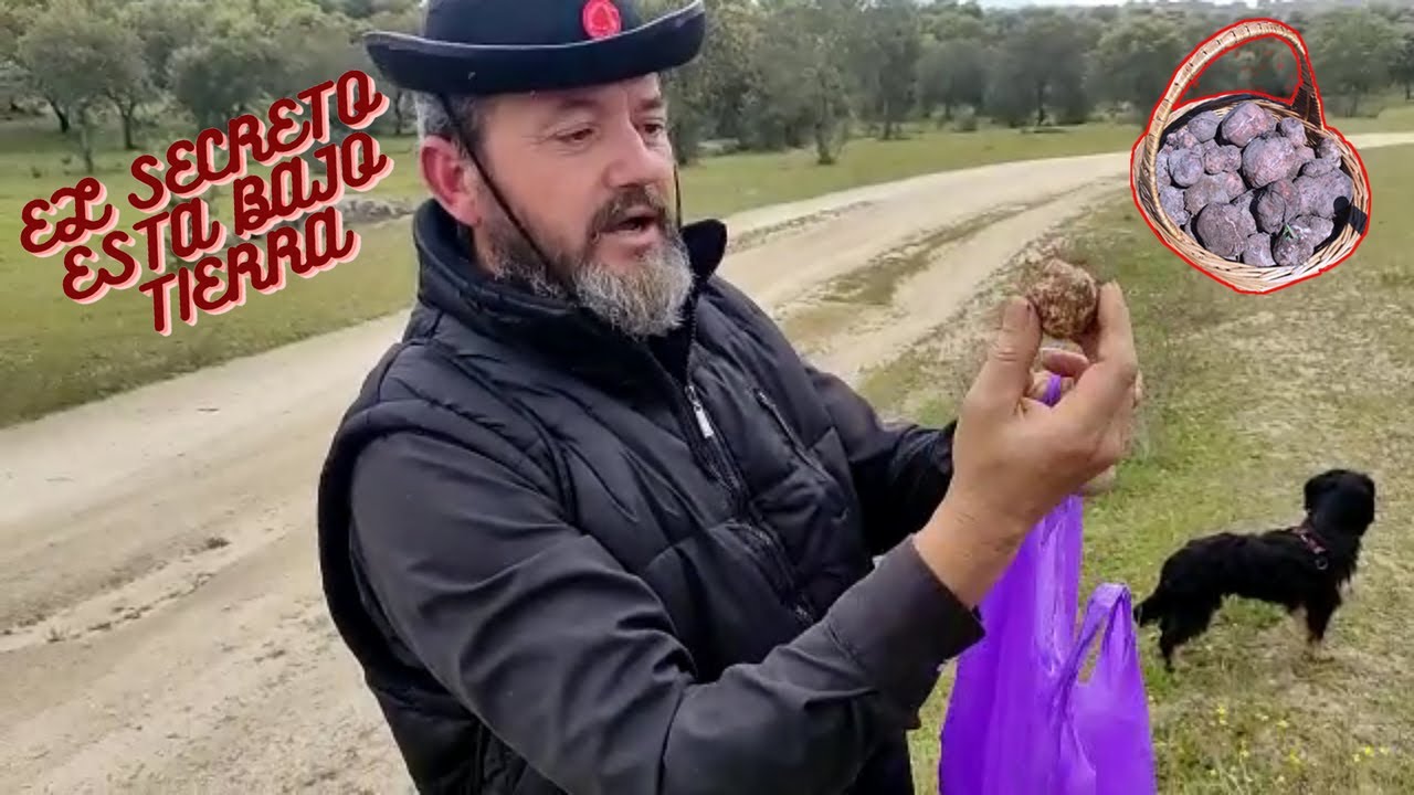 Buscando CRIADILLAS DE TIERRA Segunda temporada🌱🌱