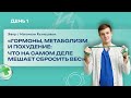Гормоны, метаболизм и похудение: что на самом деле мешает сбросить вес?