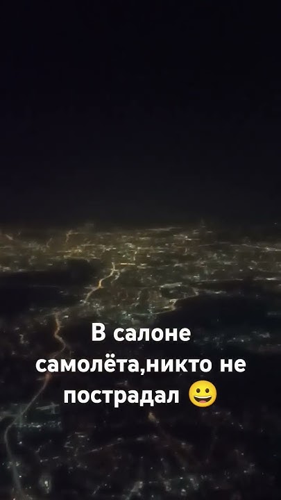 #travel #юмор #прикол #musiс #cat - YouTube