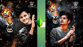 Snapseed Tiger Background Photo Editing || Snapseed Photo Editing - Born to Tech