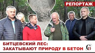 Битцевский лес: закатывают природу в бетон