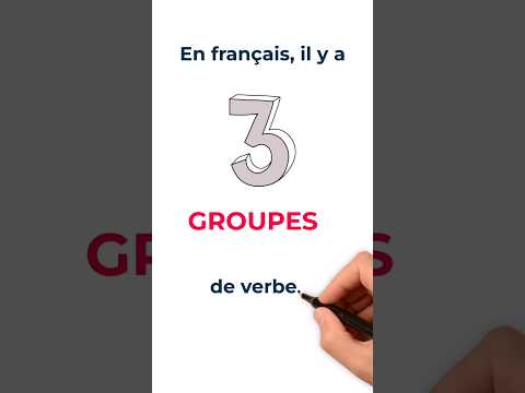 Les 3 groupes