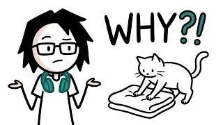 Cats Knead You Because They Still Think You're Their Mother