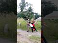 Chạy Ngay Đi | JOYtv #shorts