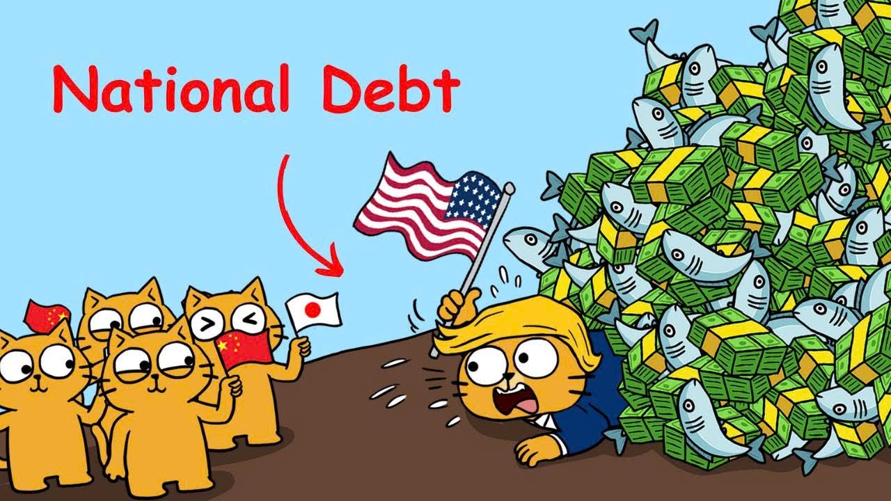 National Debt Explained by Cat