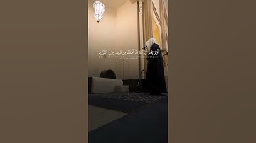 سورة القصص | محمد ابا الحسن