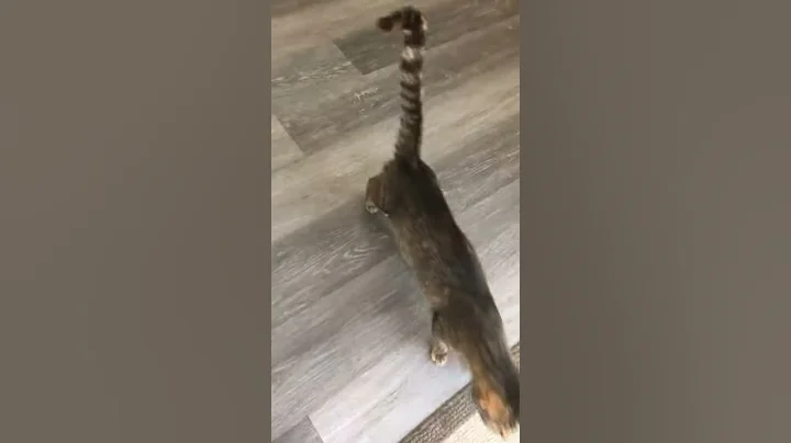 Mom around the house