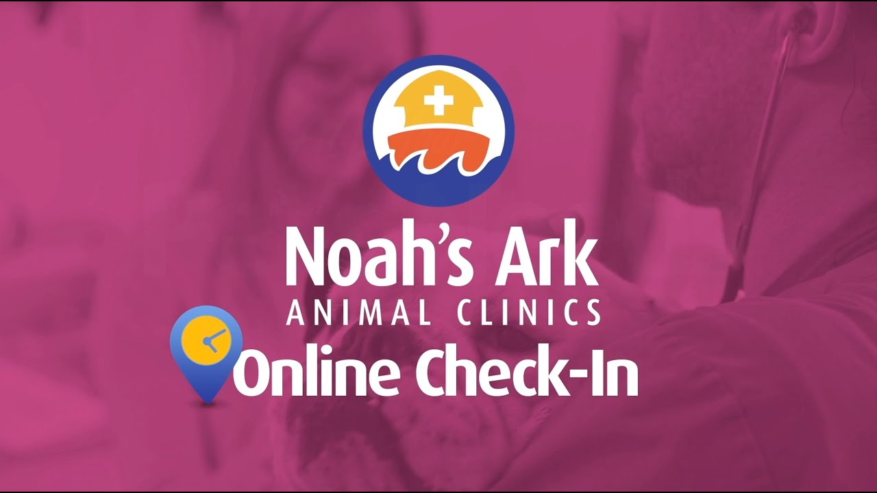 noah-s-ark-animal-clinics-tv-commercial-online-check-in-youtube