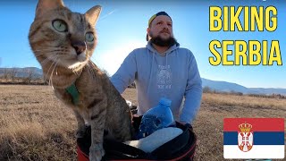 Journey through Serbia featuring sexy cat