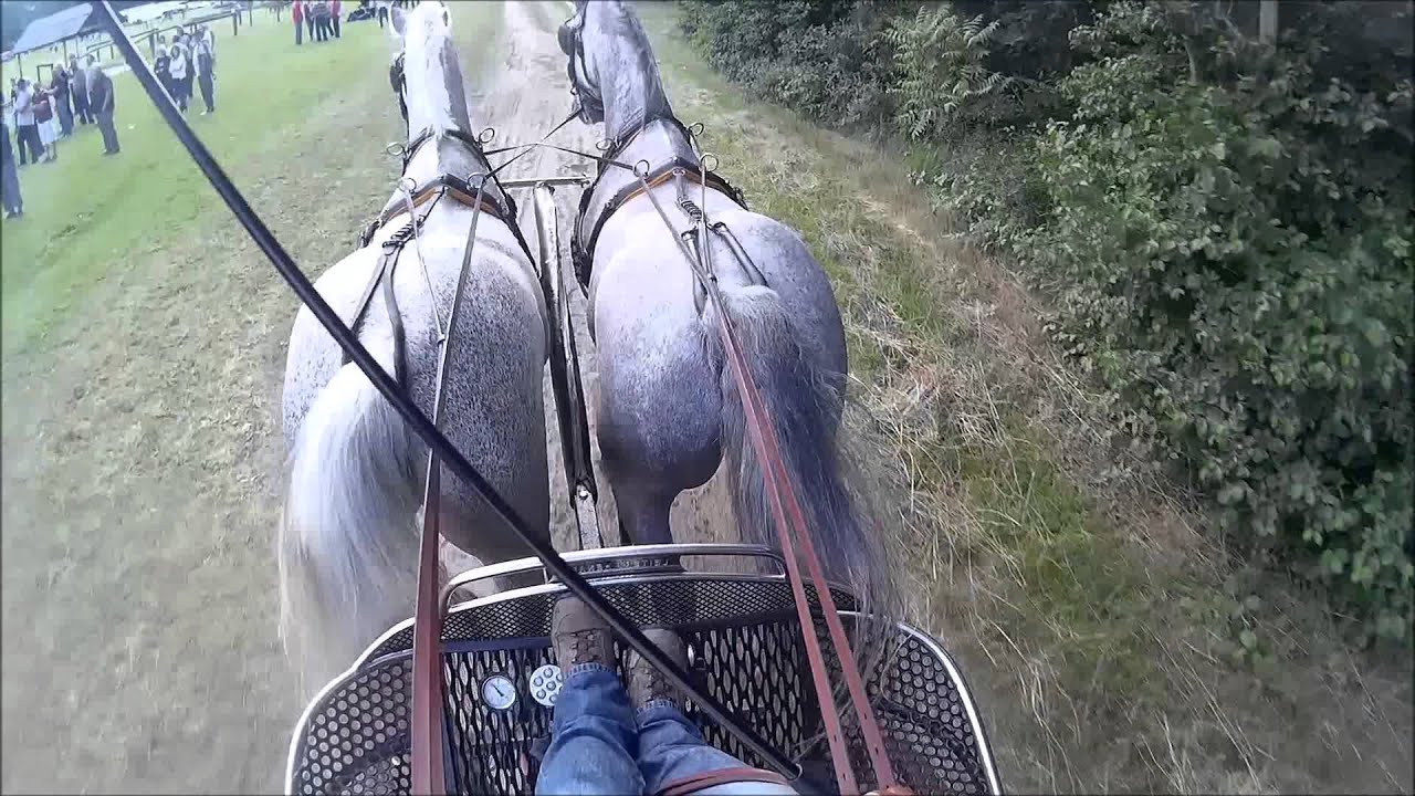 Császár 2015 Maratonhajtás