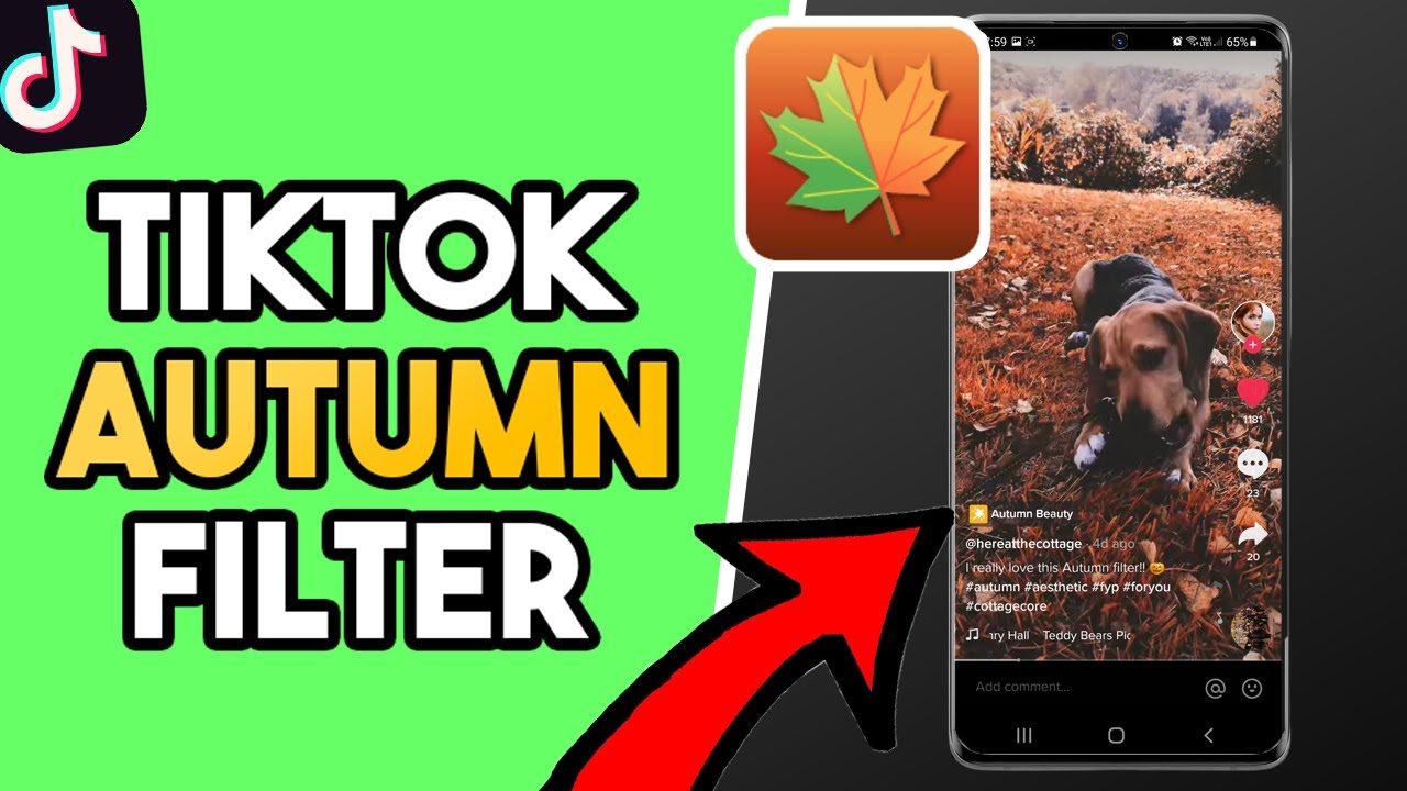Why Everyone Is Obsessed with Tiktok's Viral Fall Filter Right Now
