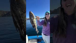 Fishing the Sea of Cortez by Tim & Shannon Living The Dream 77 views 2 months ago 2 minutes, 32 seconds