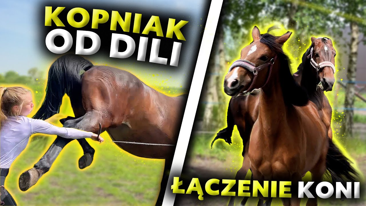 DILA NIE TOLERUJE LOVKI 😥