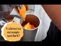 Valenica Orange Sorbet with Electro Freeze!