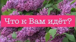 Нет времени-есть СЕЙЧАС ❤️