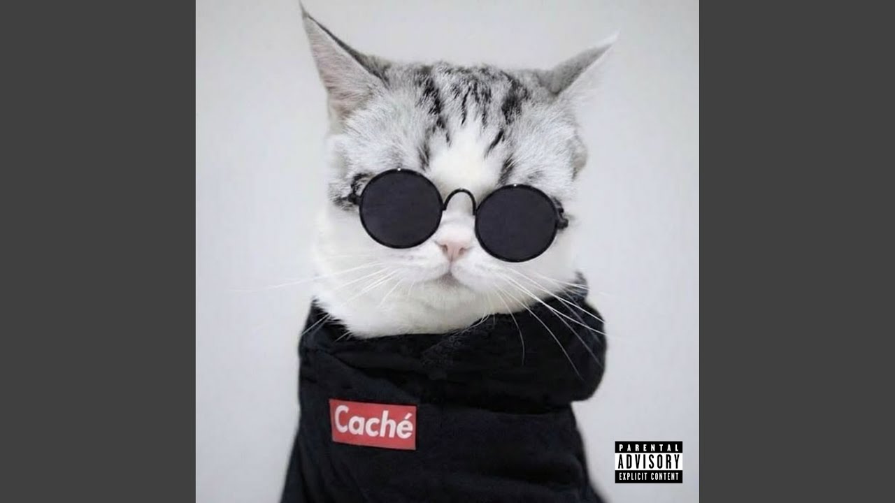 Watch MIAU on YouTube Watch MIAU on YouTube