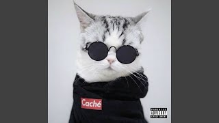 MIAU