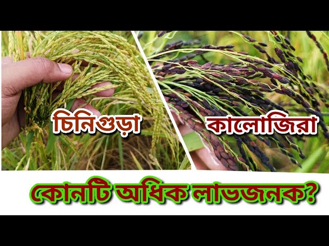 Tatariston Respublikasining Tetyushi shahrida jinsiy aloqa