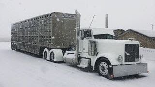BIG Old DIESEL TRUCK ENGINES Cold Start and Sound