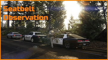 How to install Seatbelt Observation 1.0.1 into GTA 5 MODS | LSPDFR