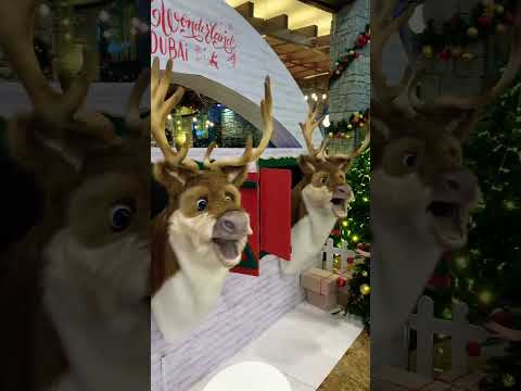 Reindeers singing favourite Christmas songs at Mall the Emirates' winter wonderland#Dubai #shorts