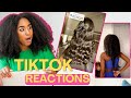 Curly Proverbz Reacts to Hair Growth TikToks