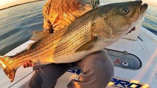 The Trick to catching the BIGGEST Fish! It's RIGHT THERE on your Fish  Finder!Striper Fishing Simrad 