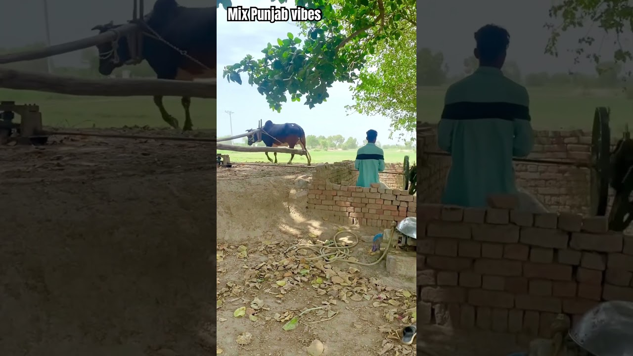 Traditional Gear Toka Machine in Action  