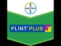Flint® Plus 64 WG Fungicid complex cu acţiune preventivă pentru rapan si fainare la mar