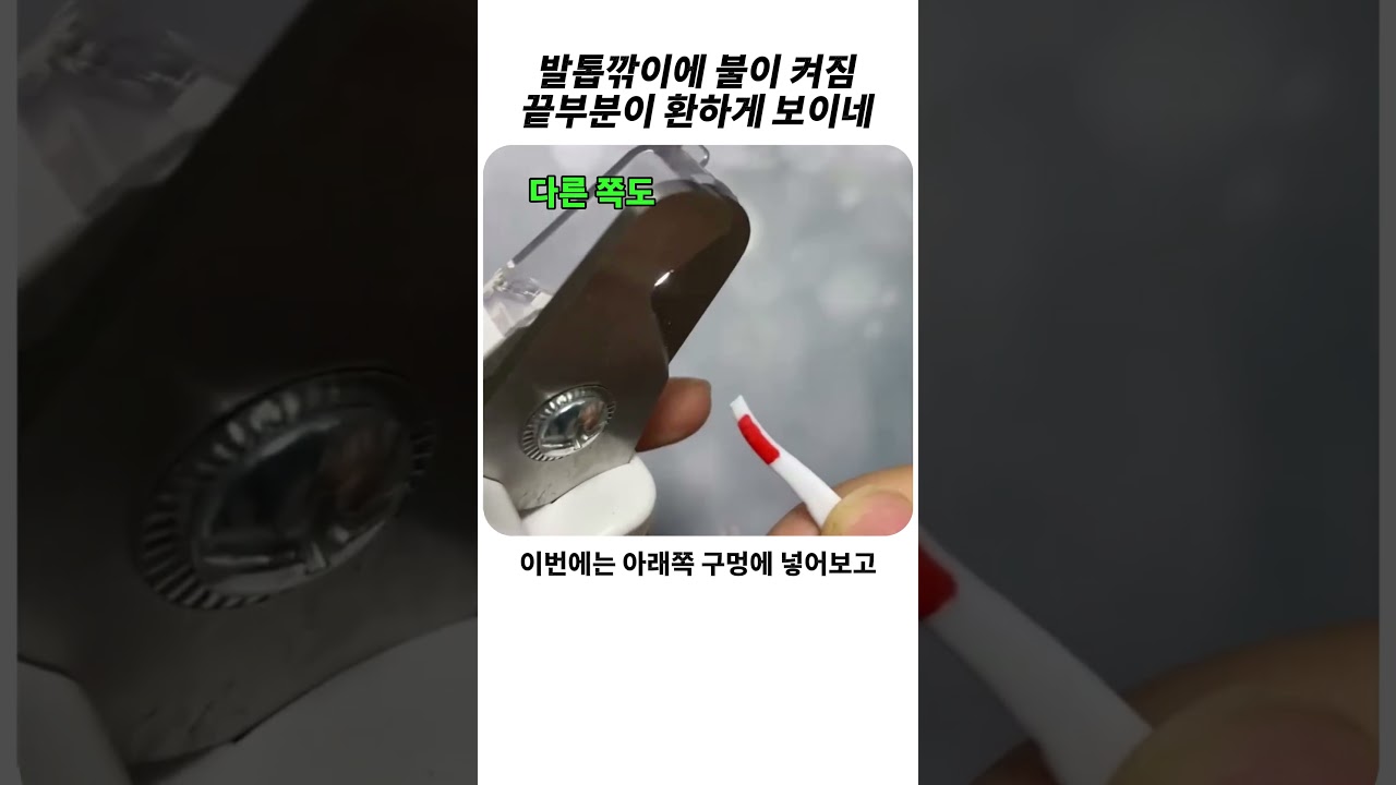 반려동물 발톱 손상 없이 자르는 발톱깎이