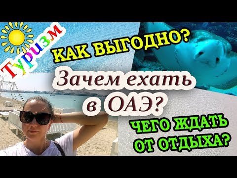 Горящие туры в Арабские эмираты, дешевые авиабилеты и отели: как искать? Мифы ОАЭ