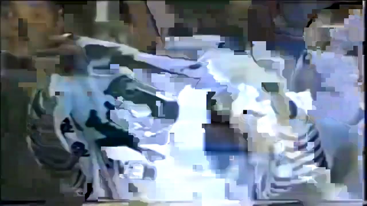 TJB O TERROR DE VOCÊS (Sequência Torcida Jovem do Botafogo)