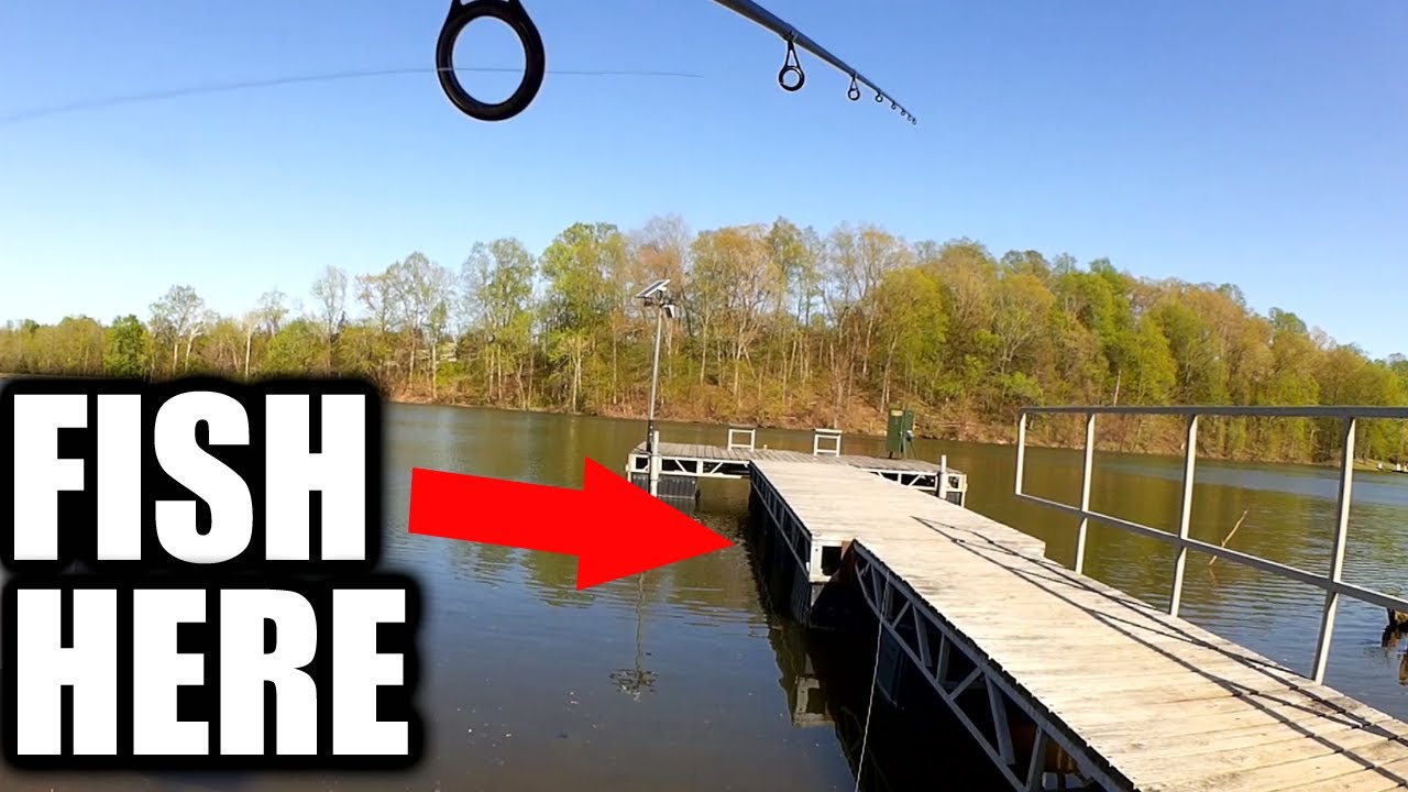 How to Fish with a Small Swimbait for Bass & Bluegill - Realistic