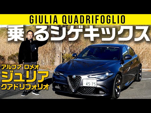 アルファロメオ ジュリア ジャンク ポリスチール アルファロメオ