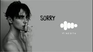 Justin Bieber - SORRY Ringtone | BGM