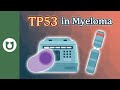 TP53 in Myeloma: How the p53 Protein Shapes Your Cancer’s Behavior