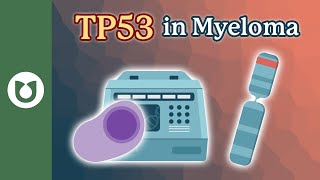 TP53 in Myeloma: How the p53 Protein Shapes Your Cancer’s Behavior