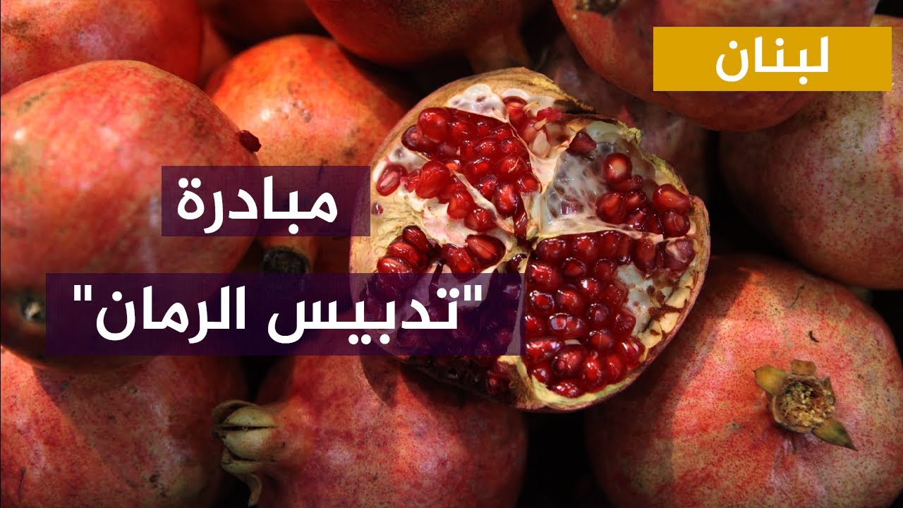 "تدبيس الرمان".. مبادرة نسائية للتخفيف من وطأة الأزمة الاقتصادية في لبنان