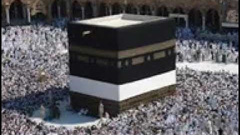سورة النصر للشيخ حسن صالح