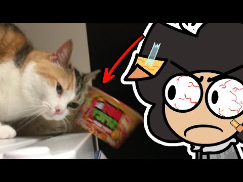 اكتر اشياء تنرفز بيسوها الحيوانات