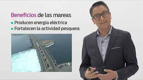 ¿Cómo es la dinámica de las aguas oceanicas?