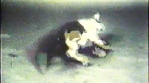 Mercury Poisoning- The Minamata Story