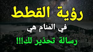 تفسير رؤية القطط في المنام هي رسالة تحذير لك!!!!