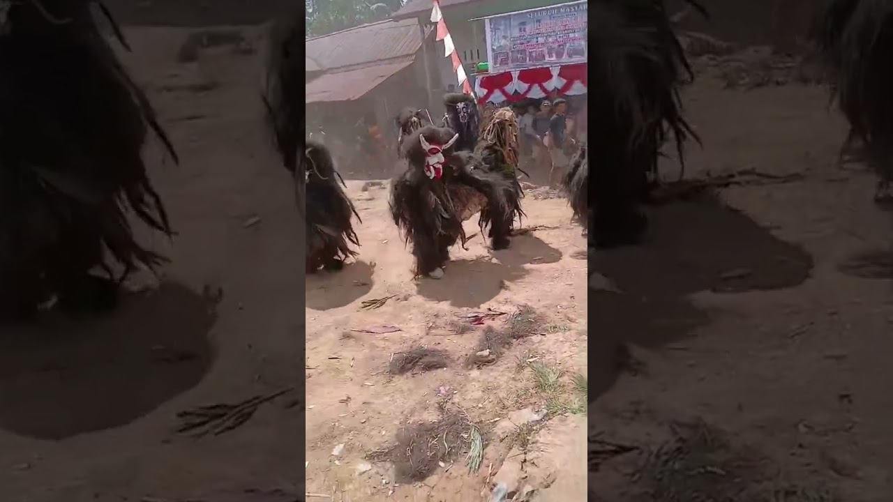 Tradisi nopeng atau nyeser suku dayak taba dusun syam 2026