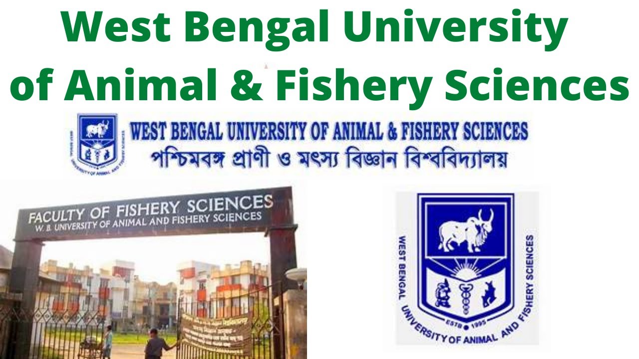 West Bengal University of Animal & Fishery Sciences|| WBUAFS|| Bengal  Veterinary College - YouTube