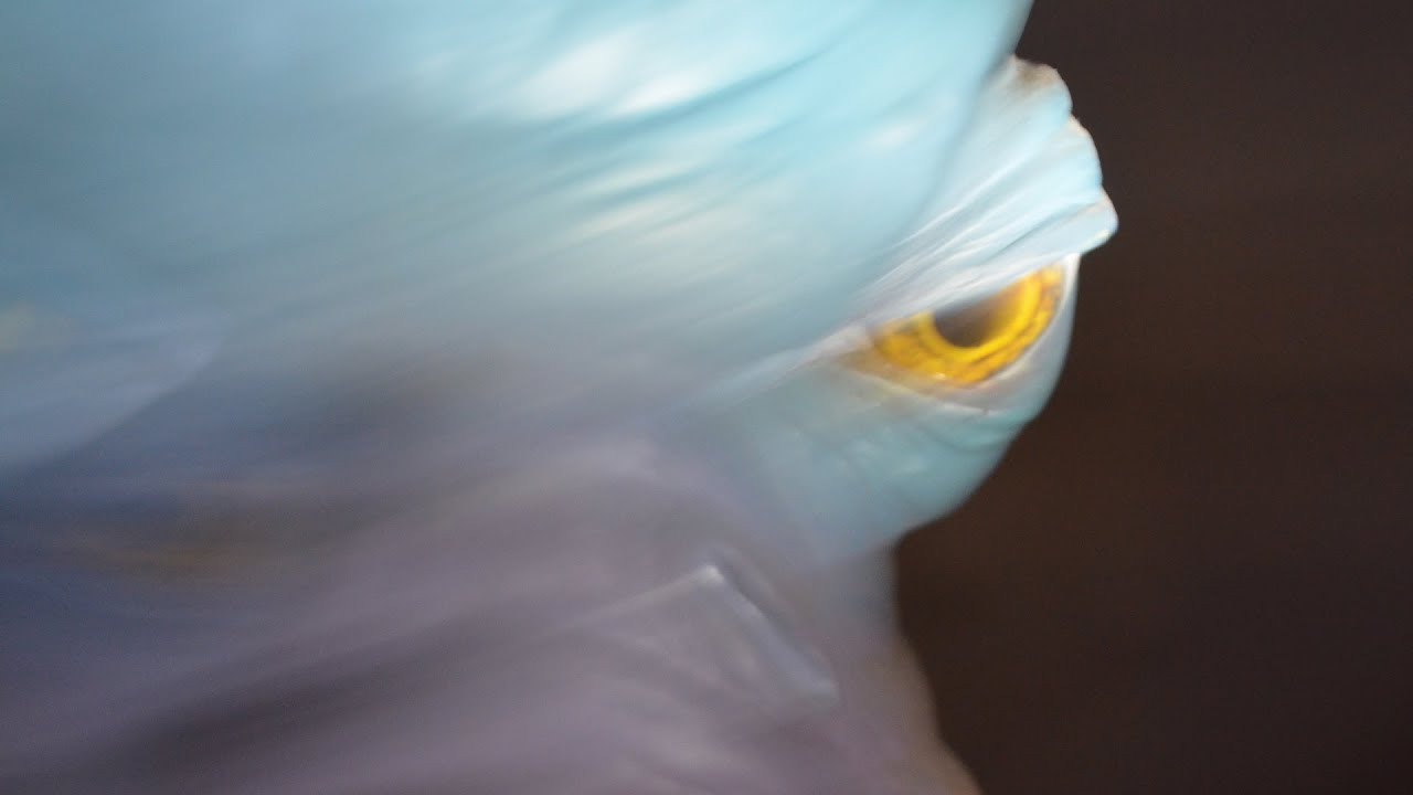 UFO Sightings Controversial Debate Anonymous Vs Public! Alien Threat To Humanity? 2014