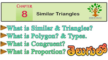 similar triangles introduction  by @D.Yesuratnam_sir
