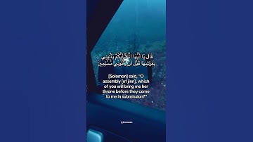 #تلاوات #بصوت_القارئ #اسلام_صبحي #سورة_النمل #قرآن #quran #explore #اكسبلور #لايك #ارح_سمعك #ترند