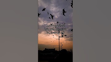 سورة النور حالات واتساب